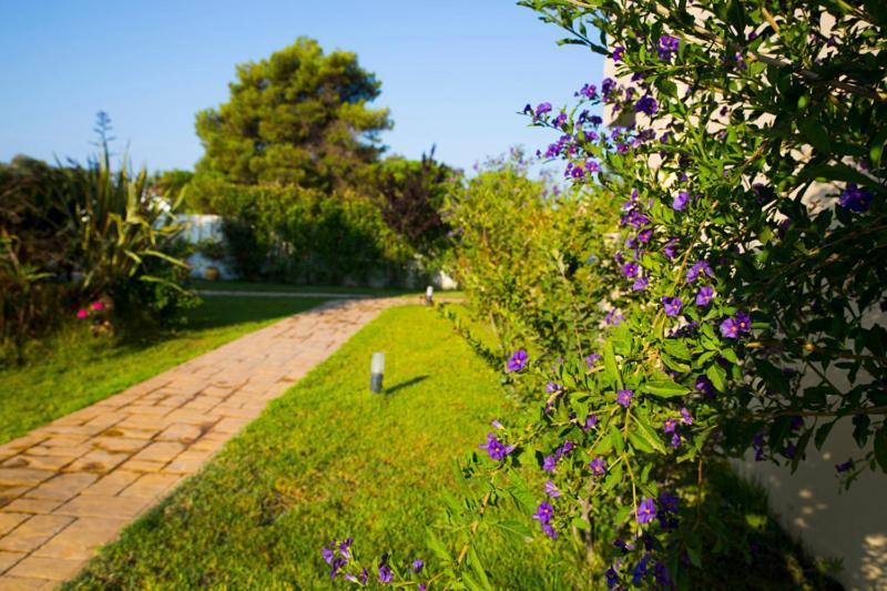 Vakis Apartments Zaharo Dış mekan fotoğraf